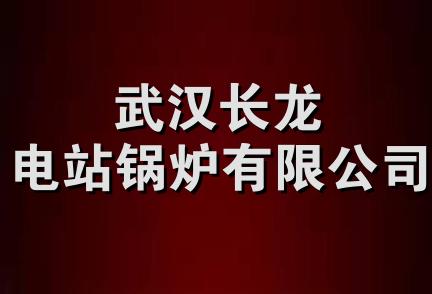 武汉长龙电站锅炉有限公司