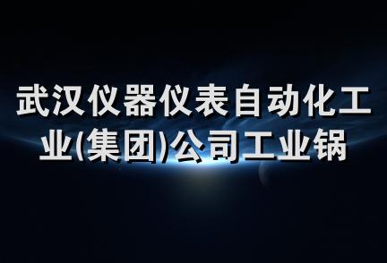 武汉仪器仪表自动化工业(集团)公司工业锅炉微机成套经营部