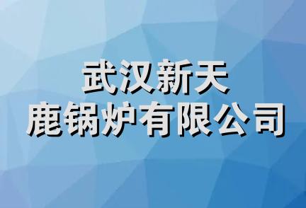 武汉新天鹿锅炉有限公司