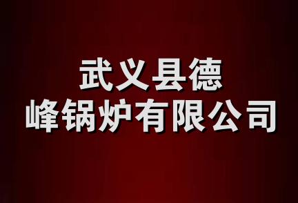 武义县德峰锅炉有限公司