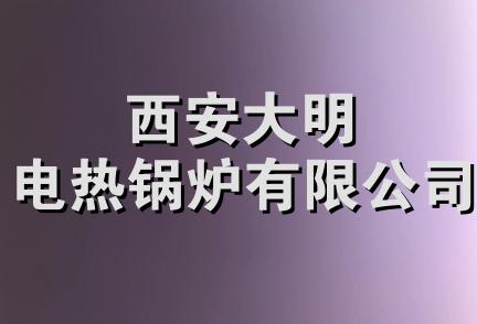 西安大明电热锅炉有限公司