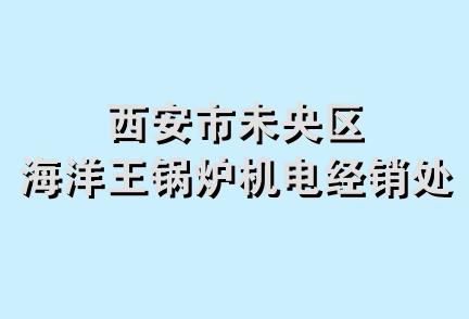 西安市未央区海洋王锅炉机电经销处