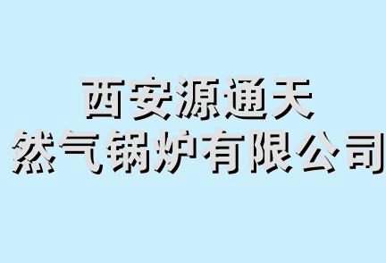 西安源通天然气锅炉有限公司