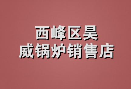 西峰区昊威锅炉销售店