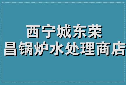 西宁城东荣昌锅炉水处理商店