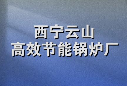 西宁云山高效节能锅炉厂