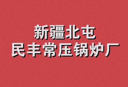 新疆北屯民丰常压锅炉厂