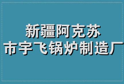 新疆阿克苏市宇飞锅炉制造厂