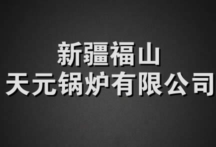 新疆福山天元锅炉有限公司