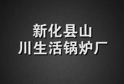 新化县山川生活锅炉厂