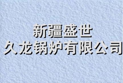 新疆盛世久龙锅炉有限公司