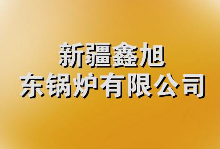 新疆鑫旭东锅炉有限公司