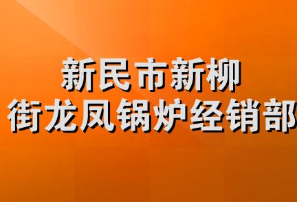 新民市新柳街龙凤锅炉经销部