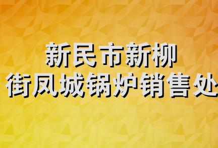 新民市新柳街凤城锅炉销售处