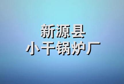 新源县小干锅炉厂