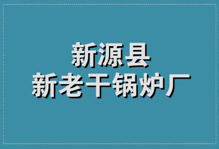 新源县新老干锅炉厂