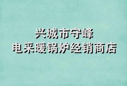 兴城市守峰电采暖锅炉经销商店