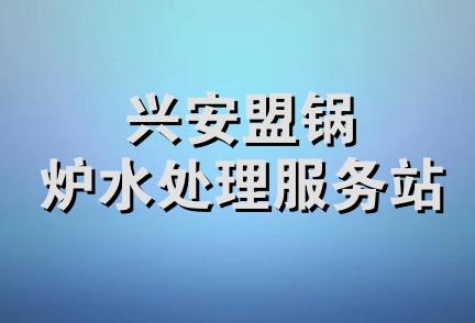 兴安盟锅炉水处理服务站