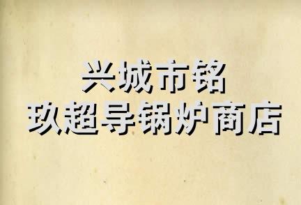 兴城市铭玖超导锅炉商店