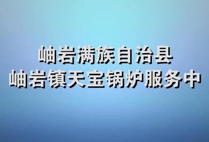 岫岩满族自治县岫岩镇天宝锅炉服务中心