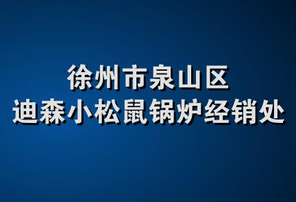 徐州市泉山区迪森小松鼠锅炉经销处