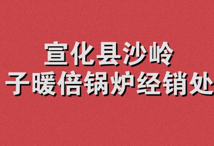 宣化县沙岭子暖倍锅炉经销处