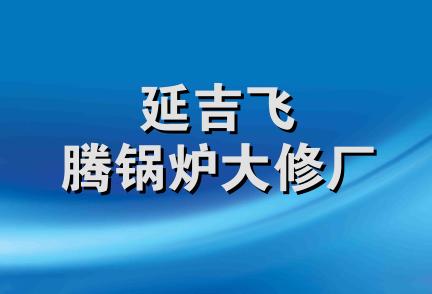 延吉飞腾锅炉大修厂