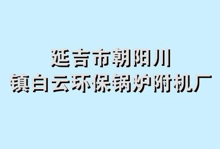 延吉市朝阳川镇白云环保锅炉附机厂