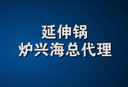 延伸锅炉兴海总代理