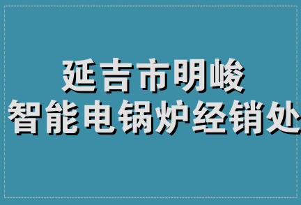 延吉市明峻智能电锅炉经销处