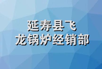 延寿县飞龙锅炉经销部