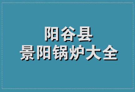 阳谷县景阳锅炉大全