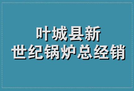 叶城县新世纪锅炉总经销