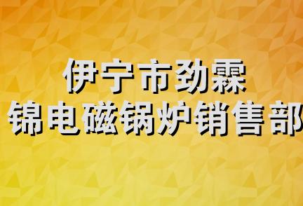 伊宁市劲霖锦电磁锅炉销售部