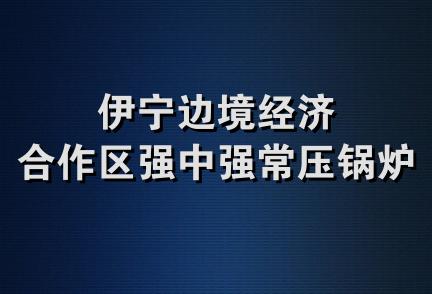 伊宁边境经济合作区强中强常压锅炉厂