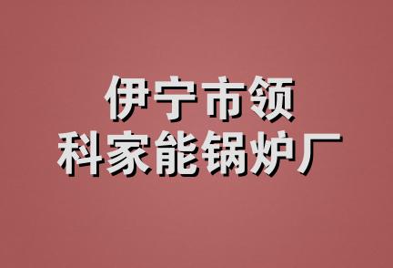 伊宁市领科家能锅炉厂