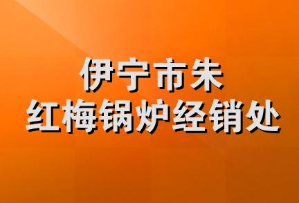 伊宁市朱红梅锅炉经销处