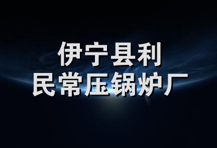 伊宁县利民常压锅炉厂