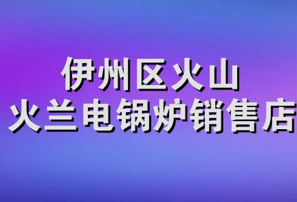 伊州区火山火兰电锅炉销售店