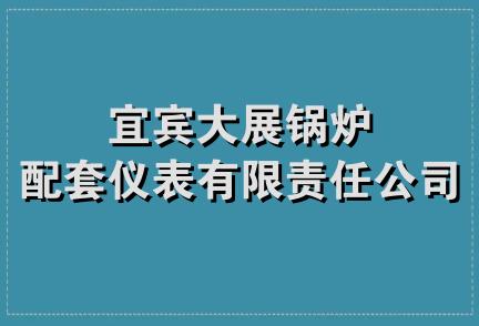 宜宾大展锅炉配套仪表有限责任公司