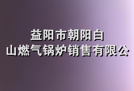 益阳市朝阳白山燃气锅炉销售有限公司