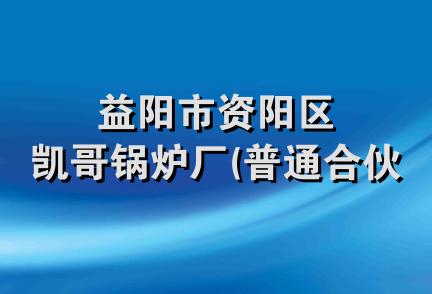 益阳市资阳区凯哥锅炉厂(普通合伙)