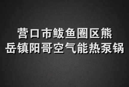 营口市鲅鱼圈区熊岳镇阳哥空气能热泵锅炉经营部