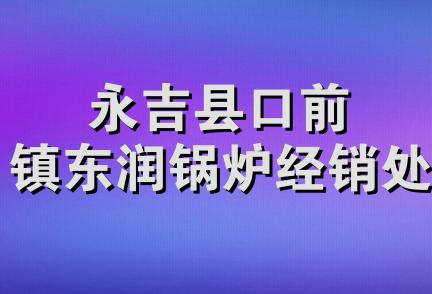 永吉县口前镇东润锅炉经销处