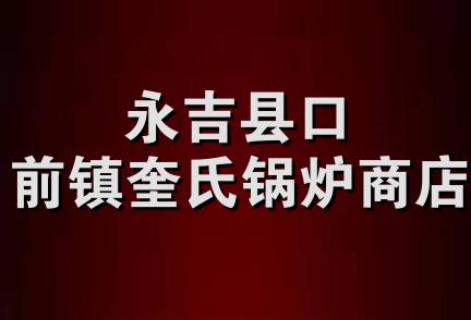 永吉县口前镇奎氏锅炉商店