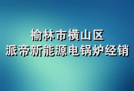 榆林市横山区派帝新能源电锅炉经销部