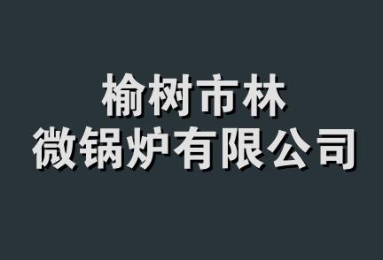 榆树市林微锅炉有限公司