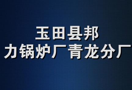 玉田县邦力锅炉厂青龙分厂