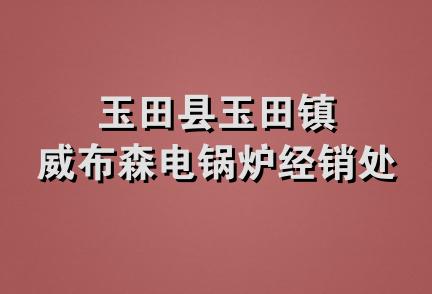 玉田县玉田镇威布森电锅炉经销处