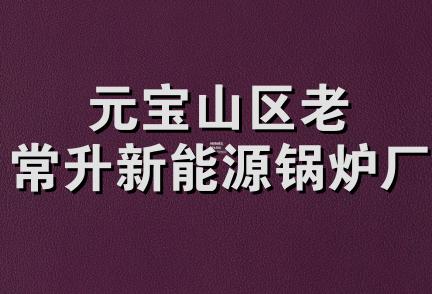 元宝山区老常升新能源锅炉厂